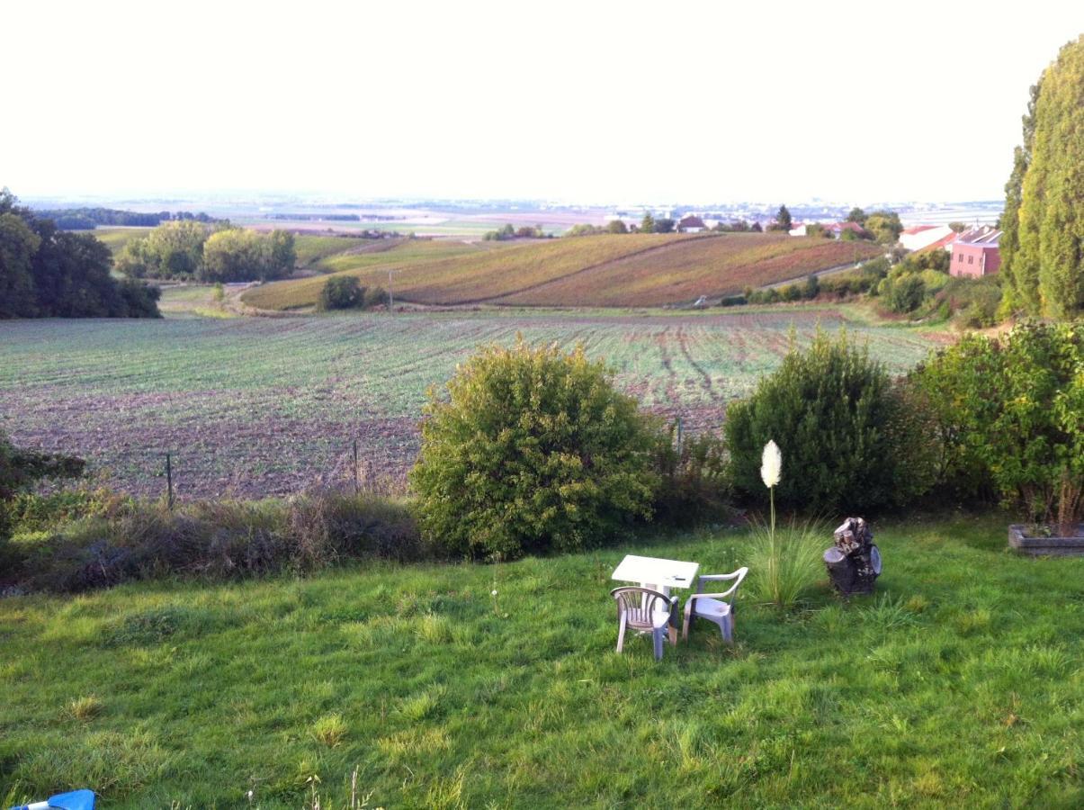 Villa Reims Epernay Champagne Vineyard Villers-Allerand Exterior foto